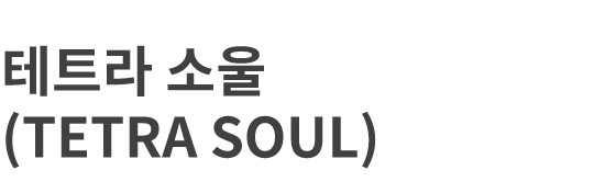 테트라소울(TETRA SOUL)